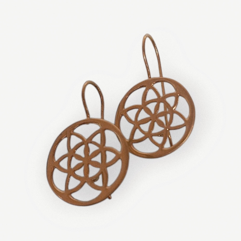 Elegant Brown Circular Earrings